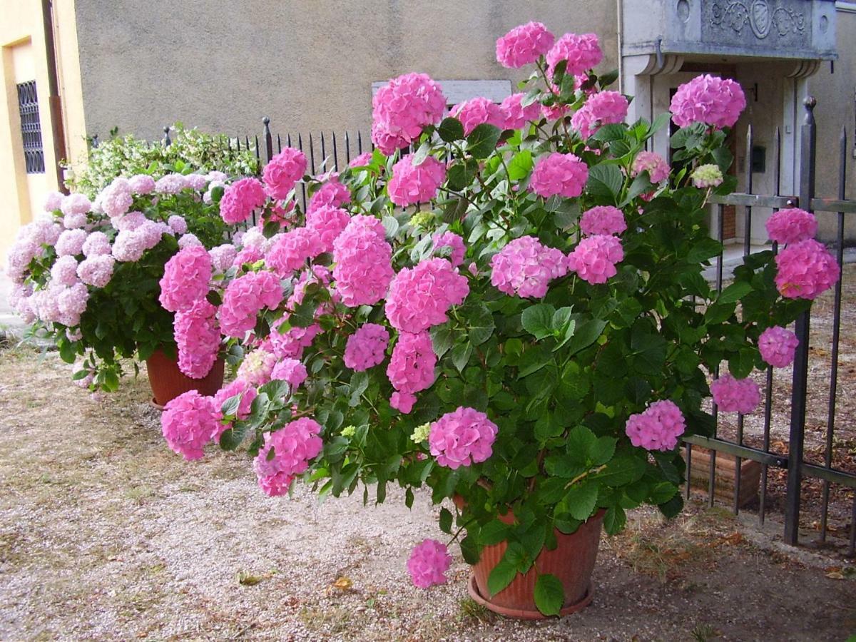 Agriturismo Dea Valfabbrica Buitenkant foto