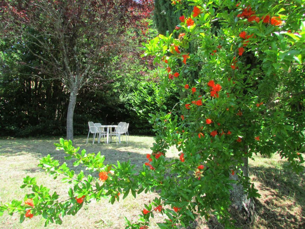 Agriturismo Dea Valfabbrica Buitenkant foto